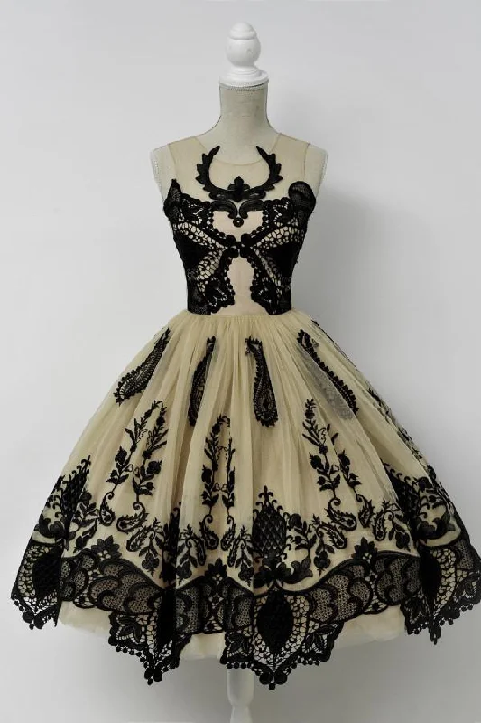 Elegant A-Line Scoop Sleeveless Tulle Vintage Style Homecoming Dress With Black Lace DM465 Elegant A-Line Scoop Sleeveless Tulle Vintage Style Homecoming Dress With Black Lace DM465